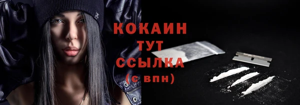 СК Семилуки