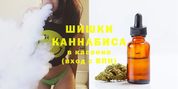 шишки Семёнов