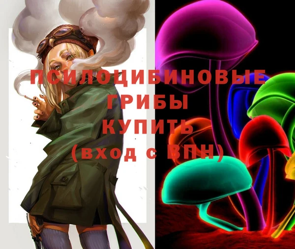 дурь Белокуриха