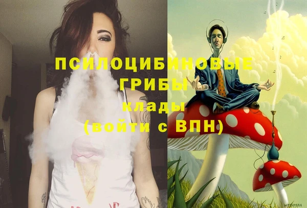 дурь Белокуриха